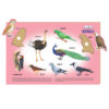 Creative's- Play ‘N’ Learn – Birds