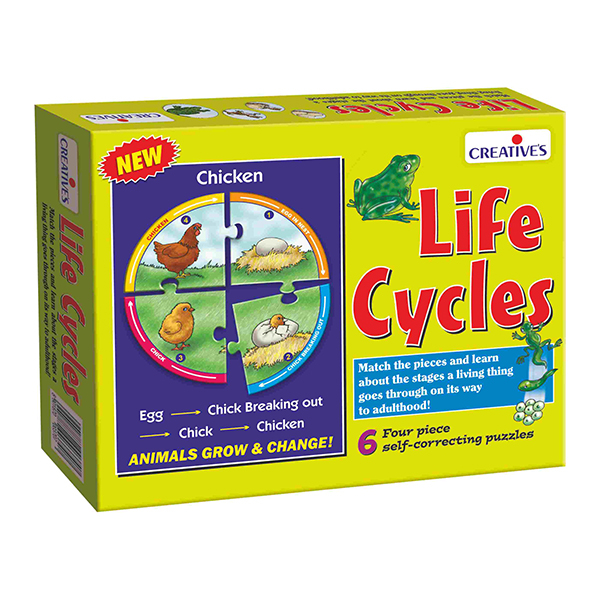 Creative's- Life Cycles