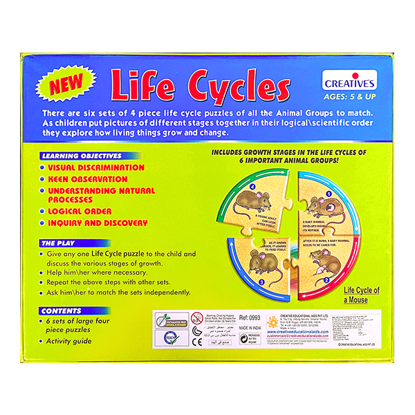 Creative's- Life Cycles