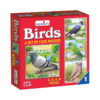 Creative's- Birds A Set of 4 Puzzles
