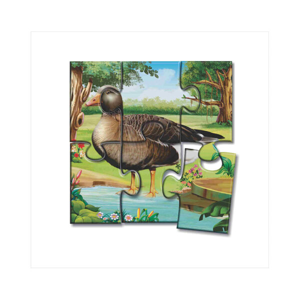 Creative's- Birds A Set of 4 Puzzles