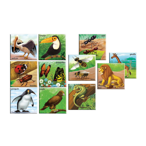 Creative's- Animal Discovery Pack