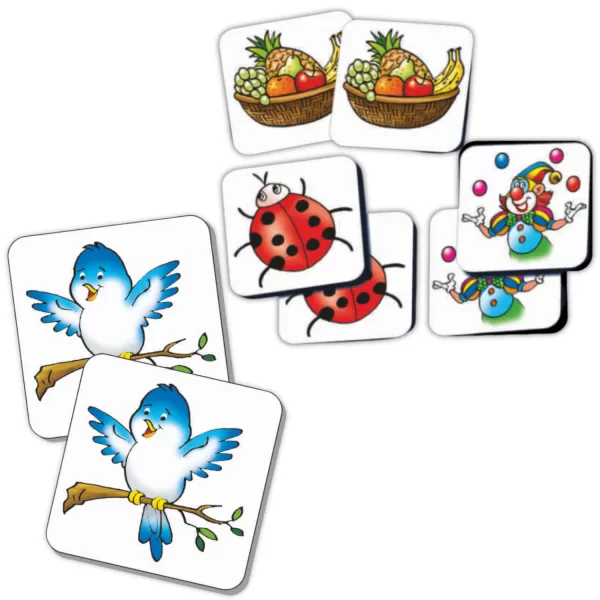 Educational Flash Cards