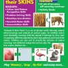 Creative's Match & Make Words & Find and Match Animals & Their Skins