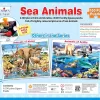 Sea Animals